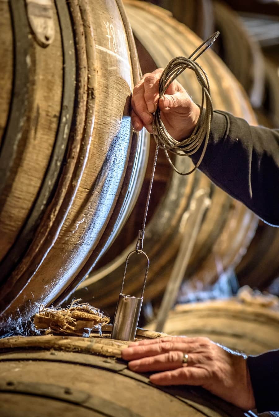 Cognac being checked when maturing in the oak barrel